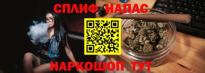 МДПВ Гай